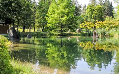 Maso Dolcevista: Water, Zwemwater, Boom, Watervoorraden, Groen, Natuur, Natuurlijke Omgeving, Natuurlijk Landschap, Waterloop, Reflectie