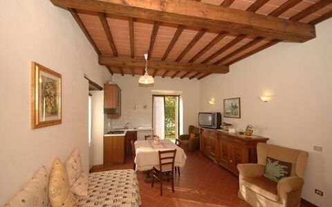 Accommodatie:&nbsp;Rimaggio 5