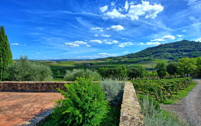 Brunello