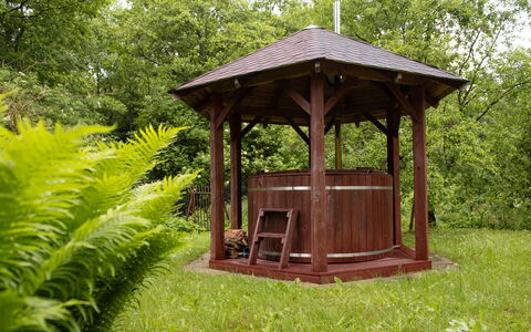 Borowikowa: Prieel, Hout, Paviljoen, Tuin, Garden Gebouwen, Plantengemeenschap, Outdoor Structuur, Groundcover, Schaduw, Beits