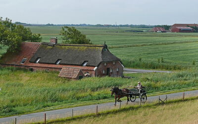 Norddeich 651