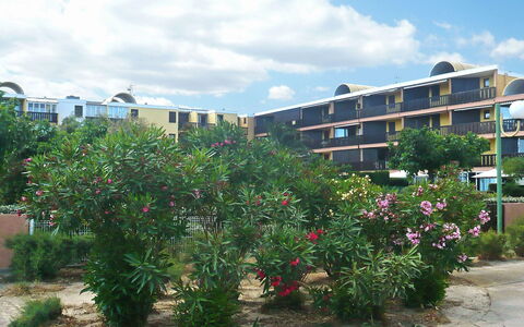 Gruissan Plage: Eigendom, Woongebied, Fabriek, Boom, Bloem, Lucht, Buurt, Stedelijk Gebied, Plantkunde, Onroerend Goed
