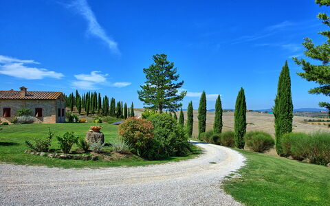 San Donnino: Natuur, Lucht, Boom, Natuurlijk Landschap, Blauw, Eigendom, Gras, Wolk, Biome, Woody Plant