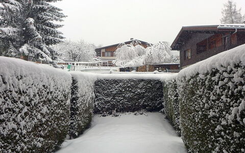 Les Chamois: Sneeuw, Winter, Freezing, Boom, Vorst, Lucht, Huis, Struik, Zwart En Wit, Huis
