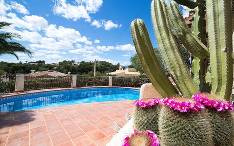 Luz Y Paz: Cactus, Eigendom, Majorelle Blue, Zwembad, Lucht, Bloem, Plantkunde, Fabriek, Onroerend Goed, Toevlucht