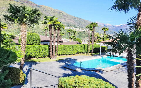 Collina Verde B: Boom, Toevlucht, Zwembad, Eco Hotel, Schaduw, Vrije Tijd, Hacienda, Landscaping, Tuin