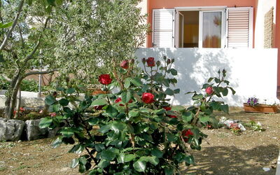 Vodice 401