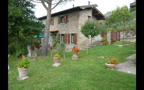 Accommodatie:&nbsp;La Falcionaia