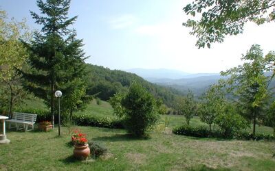 Accommodatie:&nbsp;La Falcionaia