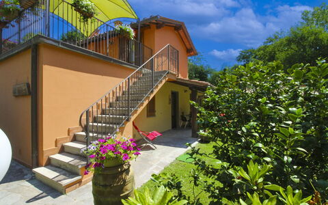 Le Balze: Land Lot, Huis, Tuin, Backyard, Schaduw, Werf, Landscaping, Balkon, Landgoed, Eco Hotel