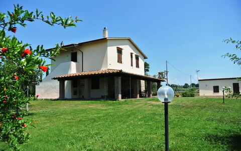 Nonno Tobia: Lucht, Fabriek, Gebouw, Eigendom, Venster, Bloem, Huis, Land Lot, Boom, Gras