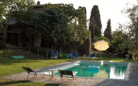 Olivo: Water, Fabriek, Lucht, Groen, Zwembad, Boom, Schaduw, Buitenmeubels, Gras, Gebouw