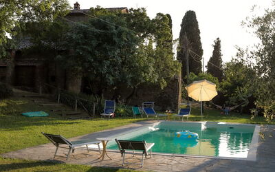 Olivo - Arezzo, Toscane, Italië