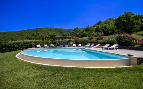 Torre di Vignale: Boom, Landschap, Land Lot, Landelijk Gebied, Park