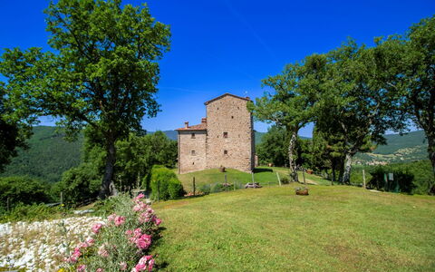 Torre di Vignale: Boom, Landschap, Land Lot, Landelijk Gebied, Park