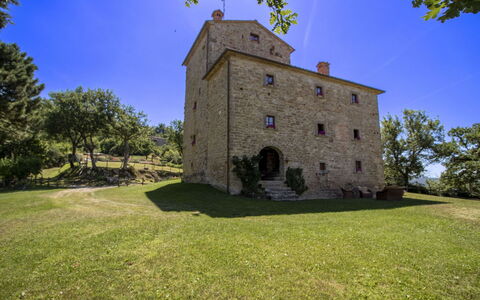 Torre di Vignale: Boom, Landschap, Land Lot, Landelijk Gebied, Park