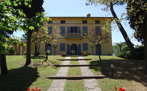 Poggio Falcone: Fabriek, Lucht, Gebouw, Eigendom, Venster, Plantkunde, Boom, Huis, Gras, Land Lot