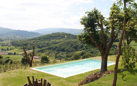 Montebello: Eigendom, Zwembad, Huis, Gras, Wildernis, Boom, Berg, Vakantie, Onroerend Goed, Landgoed