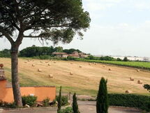 Accommodatie:&nbsp;Double Bedroom