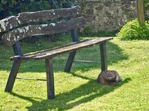 old chair in the garden