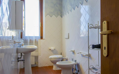 Accommodatie:&nbsp;Cimabue 36.6