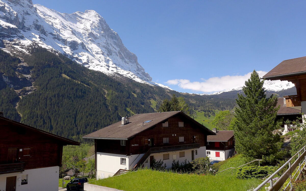 Grindelwald 253