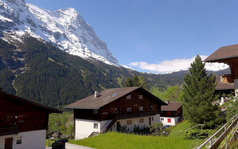 Grindelwald 253: Bergachtig Landvormen, Berg, Bergketen, Bergdorp, Eigendom, Alpen, Lucht, Huis, Dak, Huis