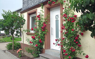Haus Irmgard - Haserich, Rijnland-Palts, Duitsland