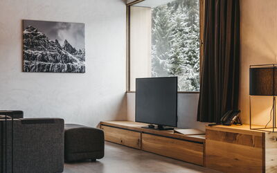 Accommodatie:&nbsp;Cosy Alpine 600.8