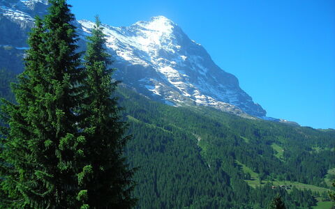 Chalet Almis 5: Bergachtig Landvormen, Berg, Balsemspar, Tropische En Subtropische Naaldbossen, Natuur, Boom, Spar Forest, Wildernis, Heuvel Station, Bergketen