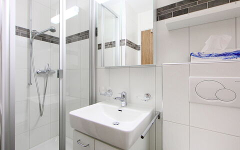 Zermatt 30: Badkamer, Kamer, Eigendom, Interieur Ontwerp, Kraan, Architectuur, Onroerend Goed, Badkamer Accessoire, Tegel, Gebouw