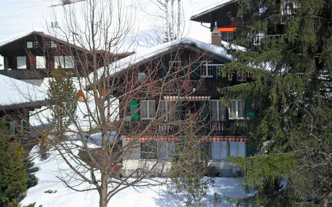 Chalet Spassvogel: Fabriek, Sneeuw, Gebouw, Venster, Lucht, Afdeling, Helling, Boom, Takje, Huis