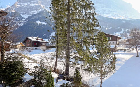 Chalet Spassvogel: Berg, Lucht, Sneeuw, Natuurlijk Landschap, Boom, Lariks, Helling, Fabriek, Gebouw, Hoogland