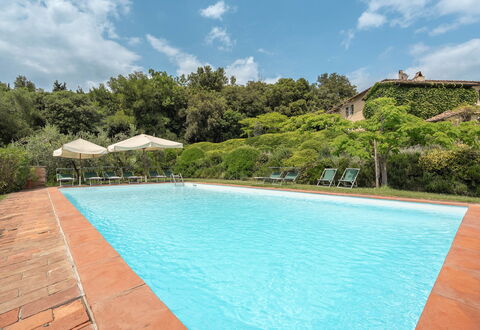 Centolivi 14: Struik, Zwembad, Landgoed, Hacienda, Tuin, Eco Hotel, Boerderij, Villa, Landscaping, Toevlucht