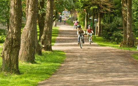 Geesthof: Fiets, Fabriek, Wiel, Boom, Weg Oppervlak, Natuurlijk Landschap, Zonlicht, Asfalt, Gras, Doorgang