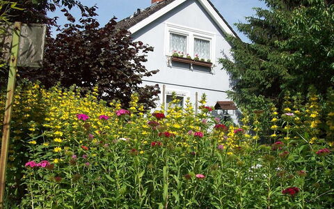Allmendgasse: Bloem, Fabriek, Gebouw, Venster, Lucht, Huis, Natuurlijk Landschap, Boom, Geel, Verblijf