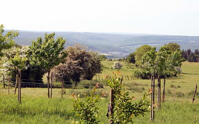 Gîte Rural Mamijana