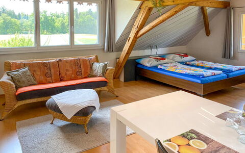 Accommodatie:&nbsp;Arn'S Dachstudio 100.3