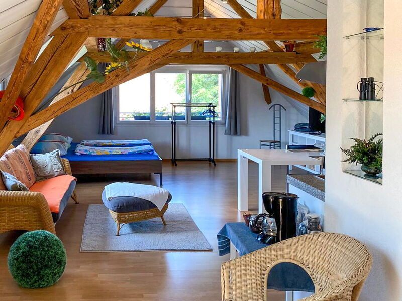 Accommodatie:&nbsp;Arn'S Dachstudio 100.3