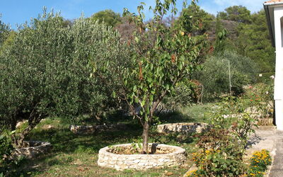 Agneza