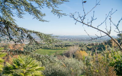 Villa Pedone