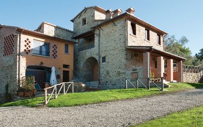Il Colle - Arezzo, Toscane, Italië - L'olivo