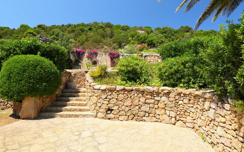 Paradiso: Eigendom, Vegetation, Tuin, Muur, Huis, Boom, Onroerend Goed, Plantkunde, Struik, Fabriek