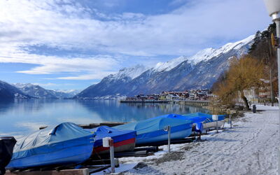 Am Brienzersee
