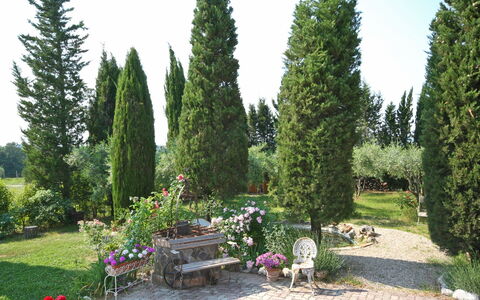 Casa Cipressi: Boom, Thuya, Eigendom, Fabriek, Tuin, Struik, Biome, Woody Plant, Evergreen, Gras