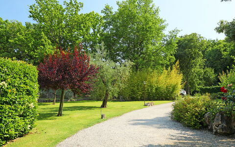 Nest: Fabriek, Lucht, Natuur, Blad, Natuurlijk Landschap, Straatlantaarn, Boom, Land Lot, Weg Oppervlak, Gras