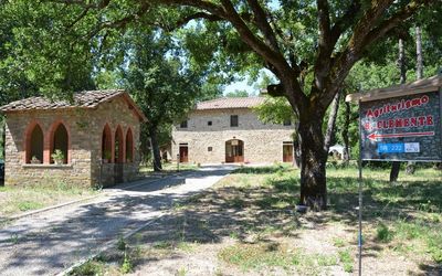 Agriturismo San Clemente - Panzano in Chianti, Toscane, Italië - Canaiolo