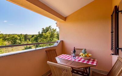 Accommodatie:&nbsp;Romana 101.4