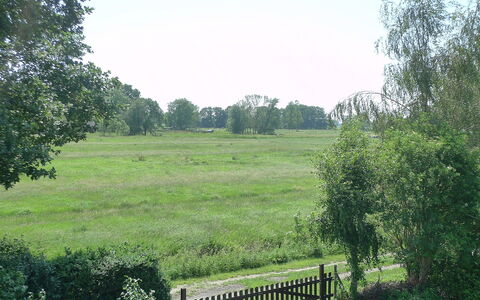 Villa Sorgenfrei: Natuurlijk Landschap, Natuurgebied, Eigendom, Pasture, Land Lot, Natuurlijke Omgeving, Gras, Weide, Boom, Grasland