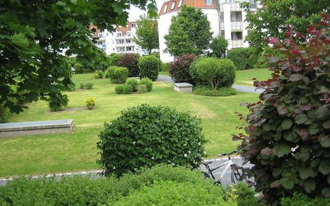 Kamelienweg: Fabriek, Venster, Gebouw, Boom, Vegetation, Haag, Gras, Huis, Evergreen, Landschap